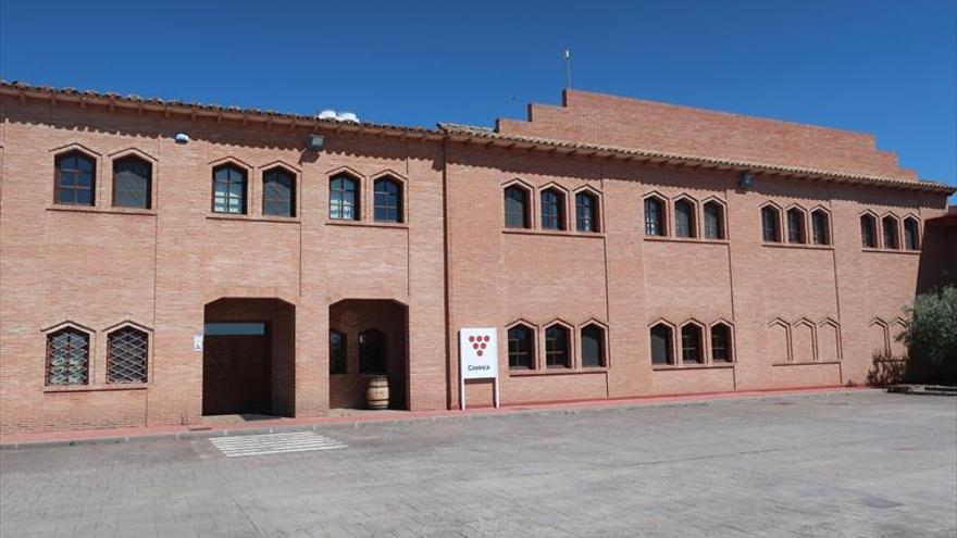 Bodegas Covinca inicia la vendimia con la cosecha de nuevos premios