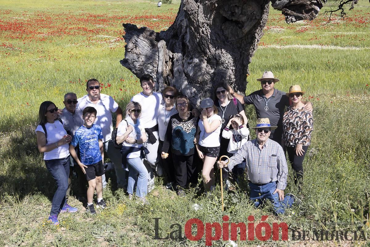 Romería de San Isidro en los Poyos de Celda de Caravaca