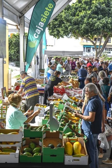 III FERIA DEL AGUACATE