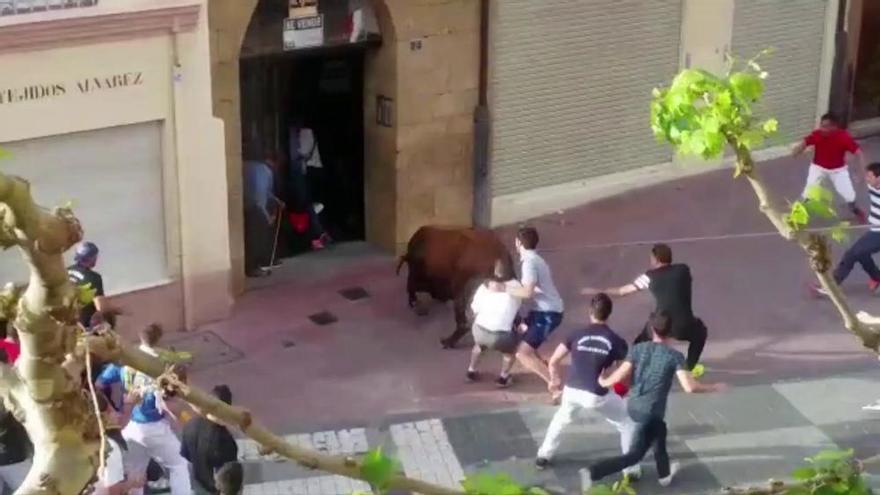 Escalofriante cogida de "Pitarroso" en la Plaza Juan Carlos I