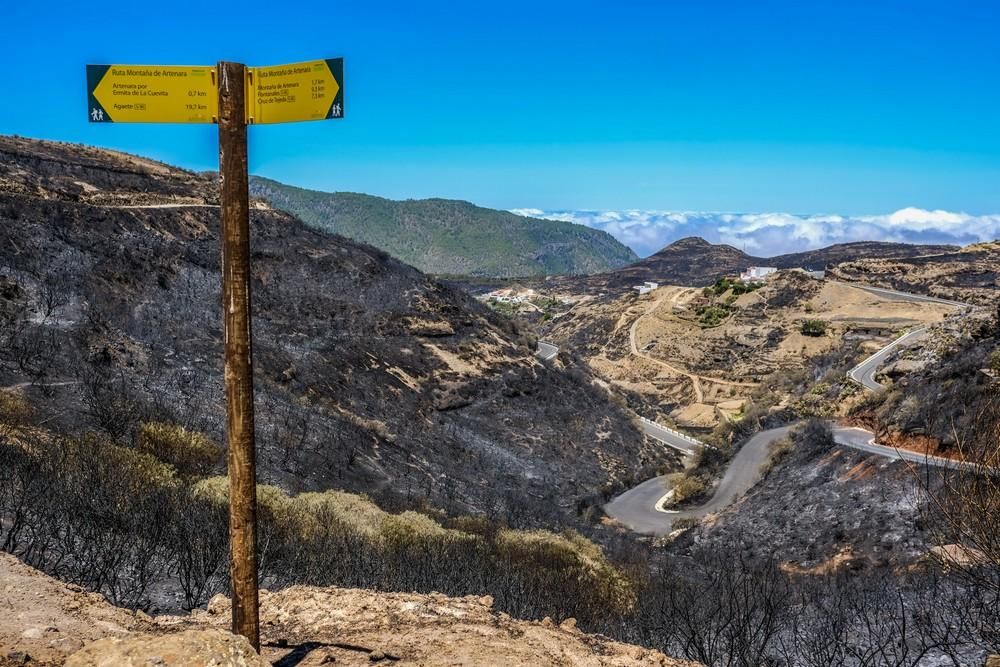 Incendio en Gran Canaria | Zonas afectadas en las medianías de Gáldar y en Artenara