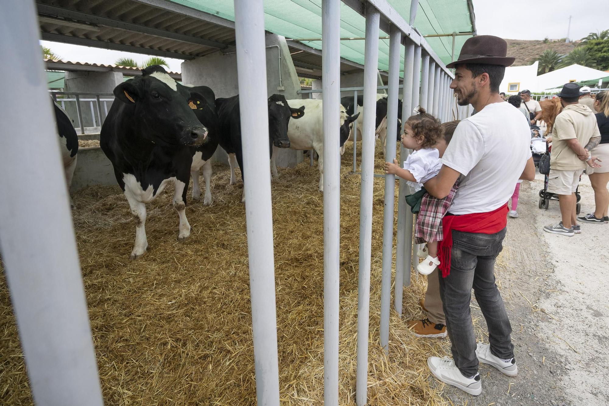 XXXII Edición del Concurso y Exposición de Ganado Selecto