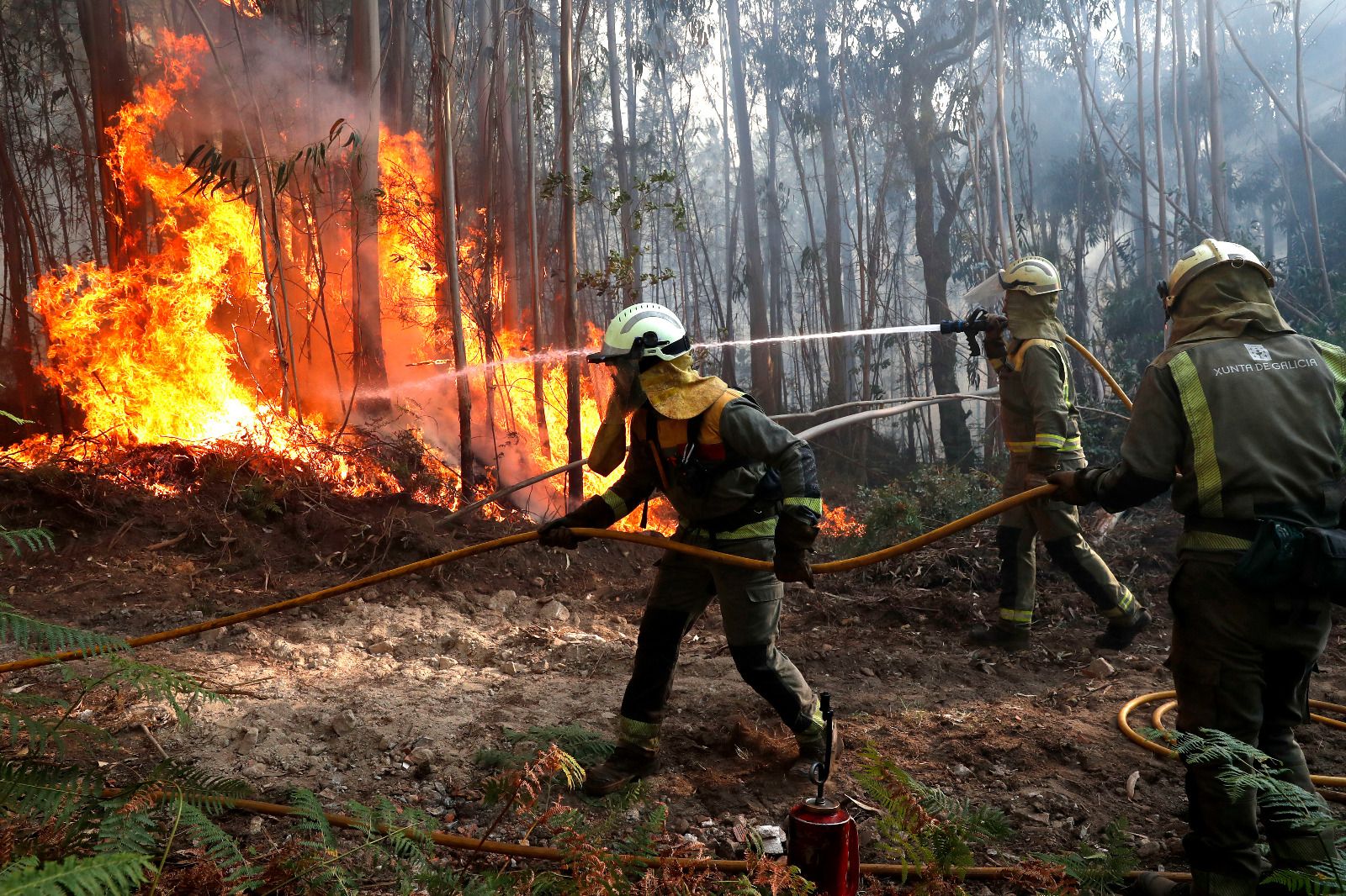 Arbo y Verín, en alerta por incendio