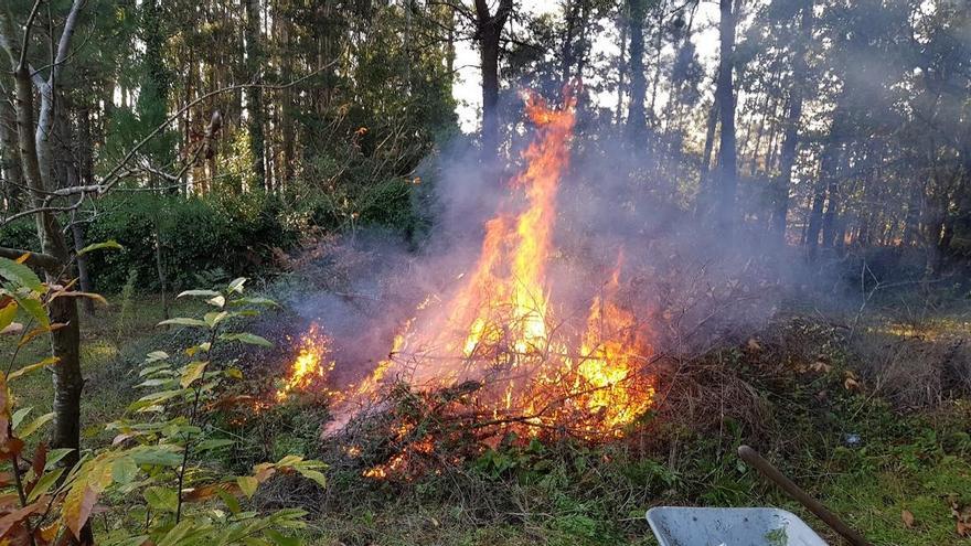 La Xunta prohíbe de manera inmediata las quemas agrícolas
