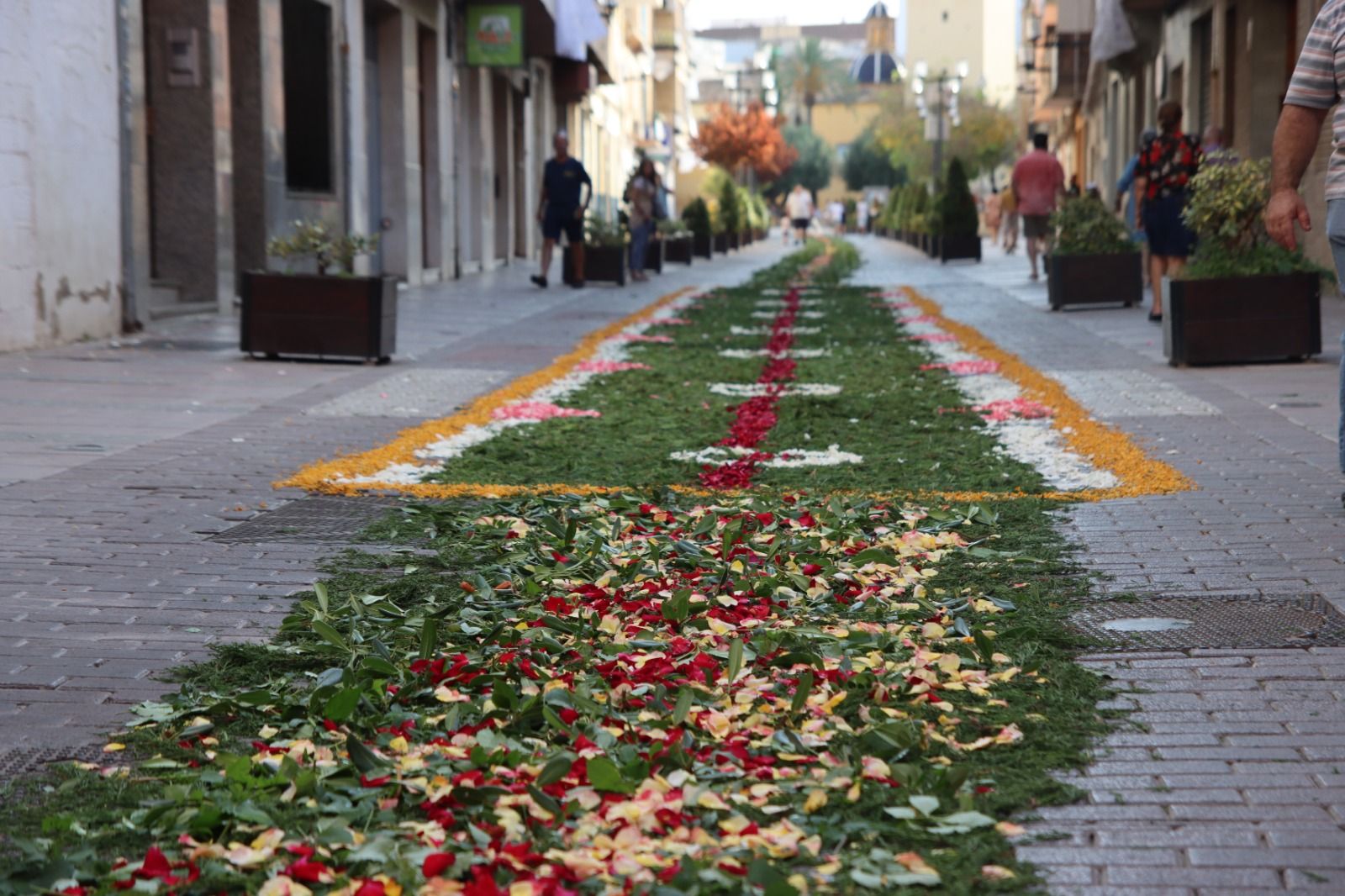 Calle con flores por el Corpus Christi en Alaquàs.