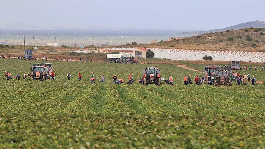 Cuatro inspectores se encargarán de controlar que las explotaciones agrícolas cumplen la ley del Mar Menor.