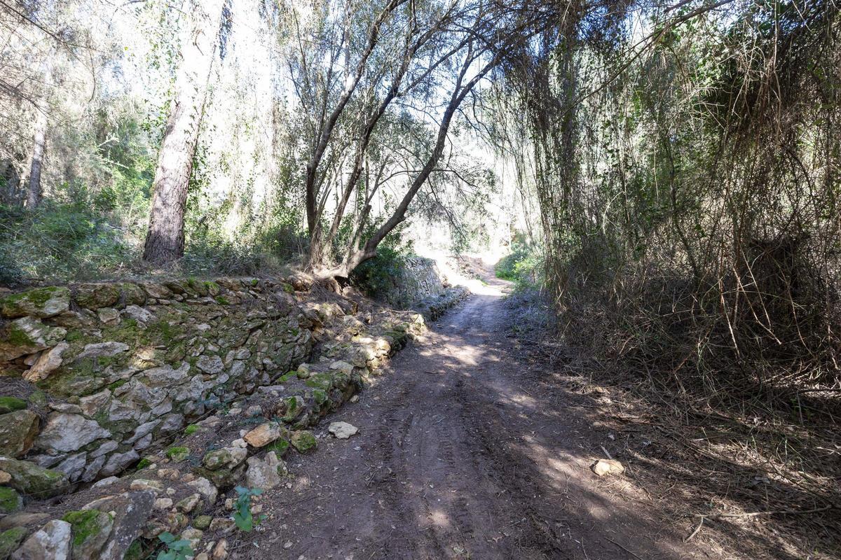 Imágenes de sa Fontassa y el río de Santa Eulària Imágenes de sa Fontassa y el río de Santa Eulària