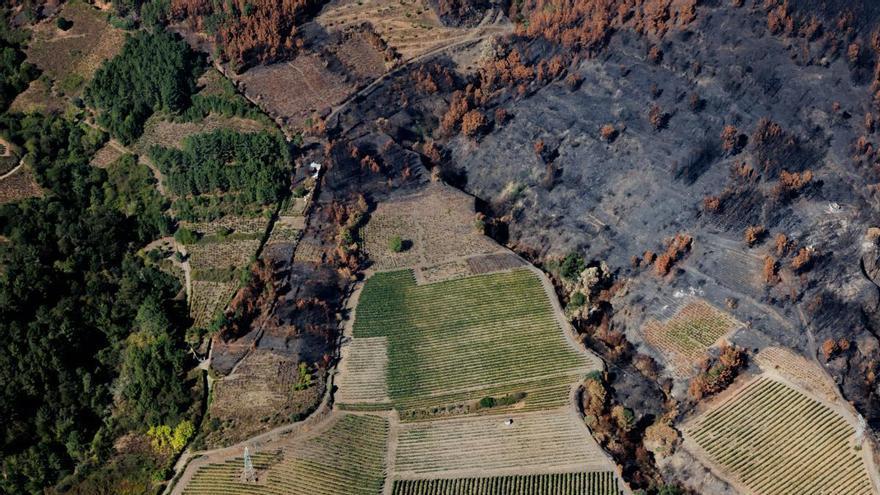 Medio Rural suaviza las exigencias para la PAC de las explotaciones afectadas por los incendios