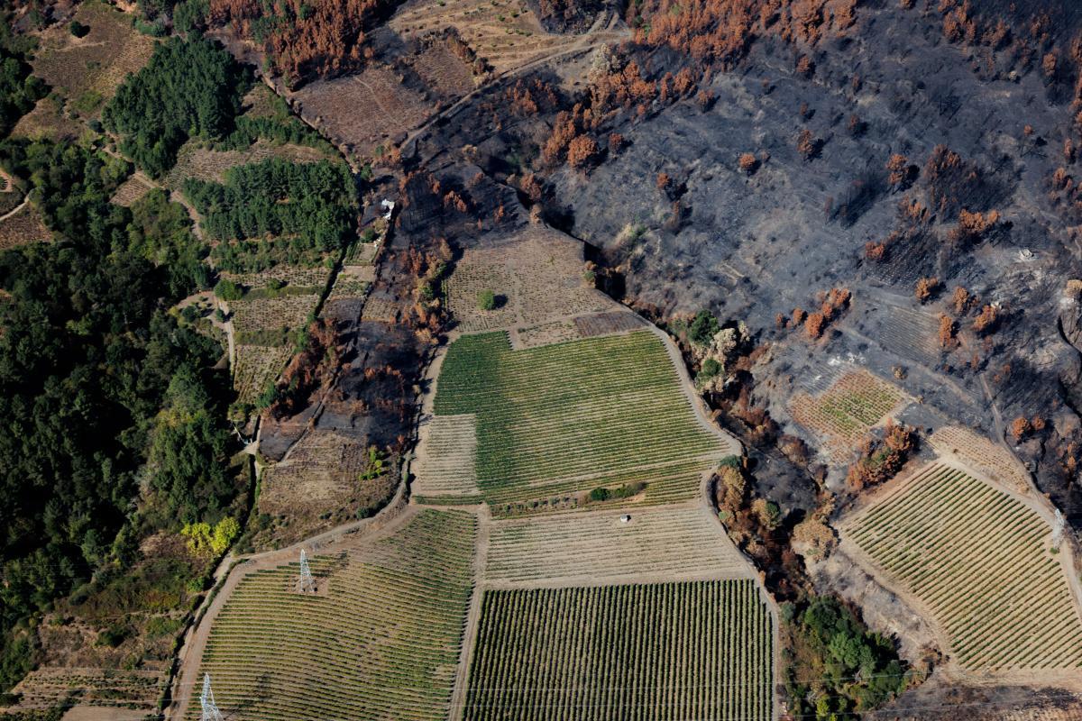 Visión de los efectos de un incendio.