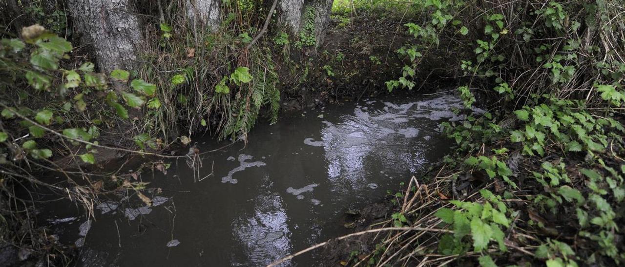 Vertido de purín en el río Pontiñas procedente del regato de Filgueira, ayer por la tarde. |   // BERNABÉ/JAVIER LALÍN