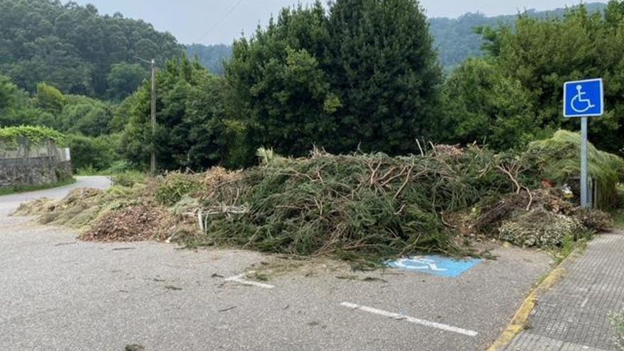 Los restos vegateles, ocupando parte de una plaza de aparcamiento para persona de movildad reducida.