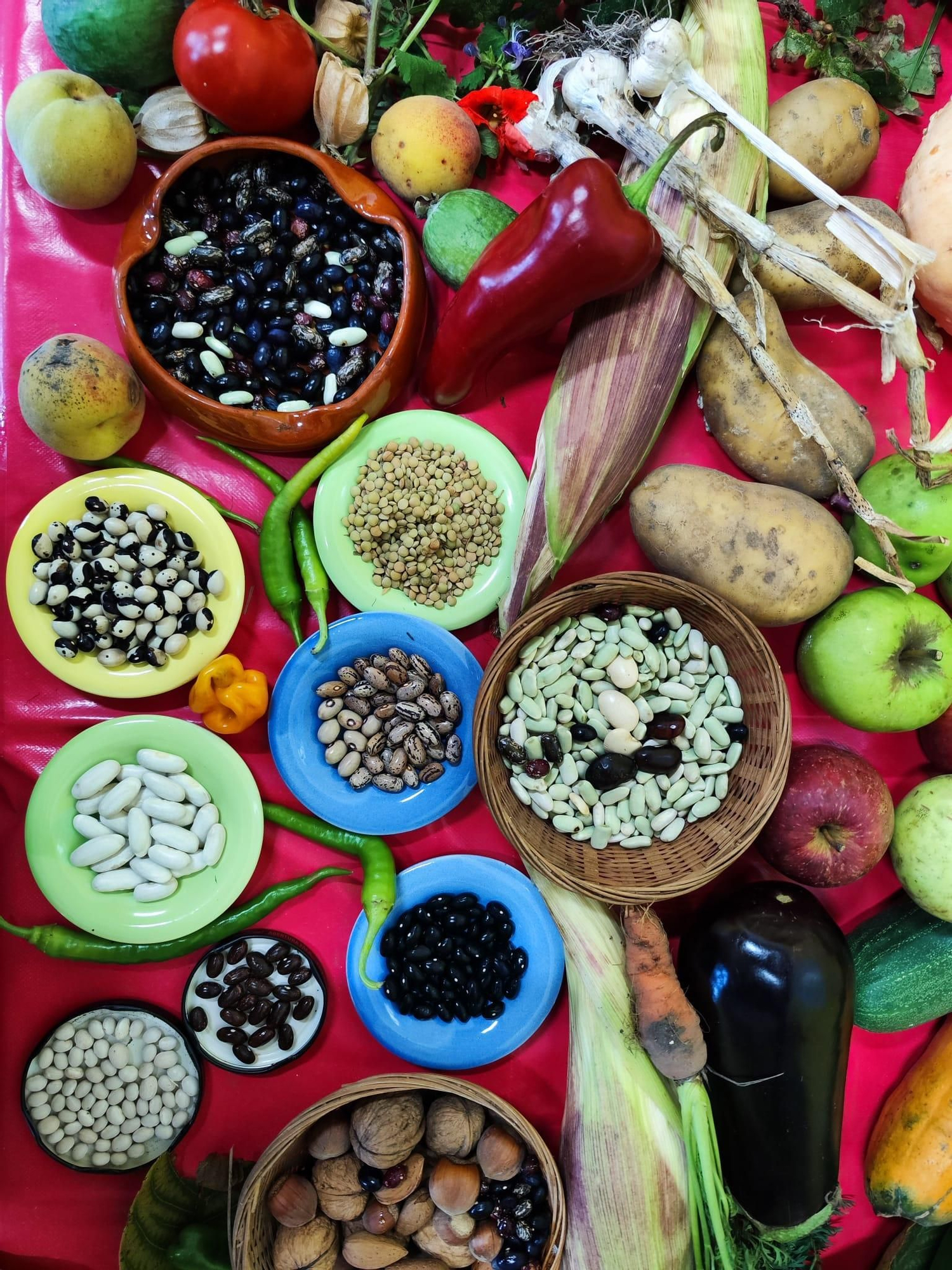 Quintes, entre hortalizas y plantas en una nueva exposición de la huerta