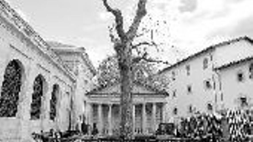 EL CALOR DE AGOSTO MATO AL ARBOL DE GERNIKA