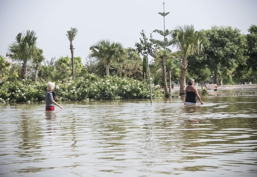 Las imágenes de las inundaciones en Almoradí y Dolores