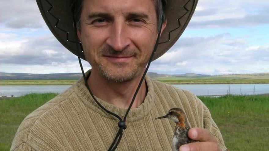 muestreo. El investigador Juan Carlos Illera toma una muestra de sangre del ave capturada durante el muestreo que llevó a cabo en los parques naturales de los Picos de Europa, Sierra Nevada y Caldera de Taburiente.
