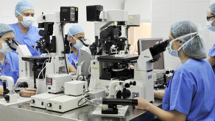 Laboratorio del Instituto Bernabeu