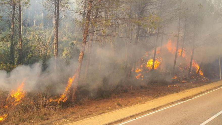 Incendi de Sant Julià de Ramis: el foc afecta una una superfície aproximada d’unes 1,5 hectàrees