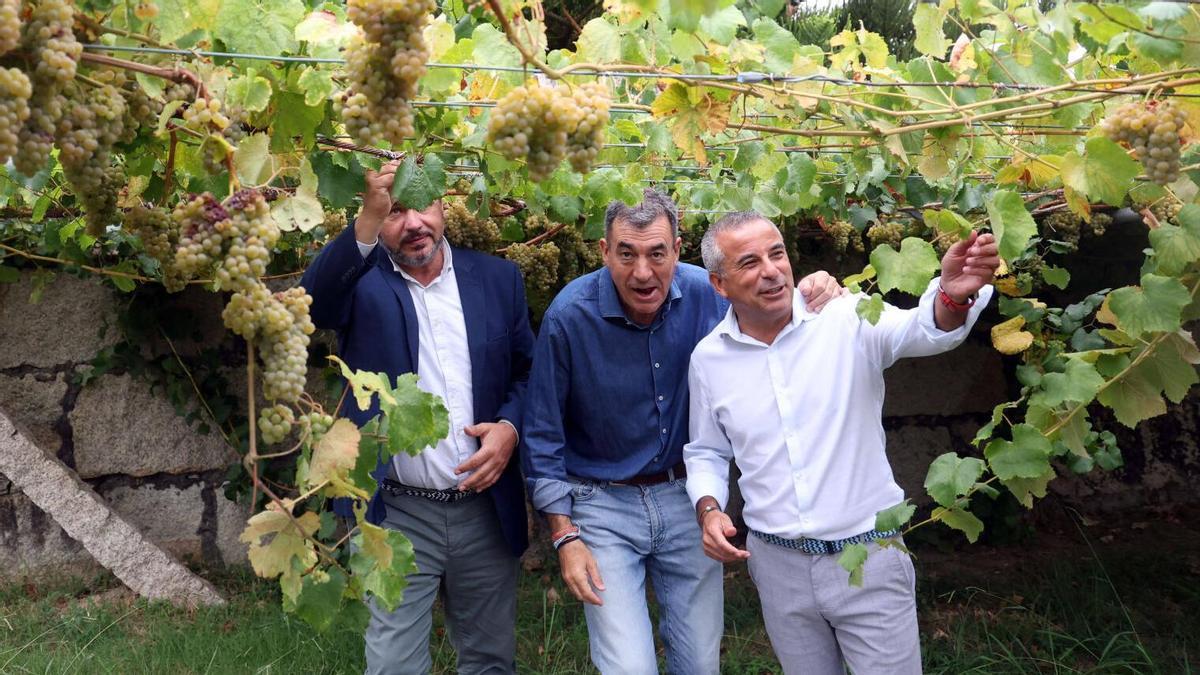 Bodegas Paco & Lola avanza en el desarrollo de la plataforma tecnológica que abarca el ciclo productivo desde el viñedo hasta la botella