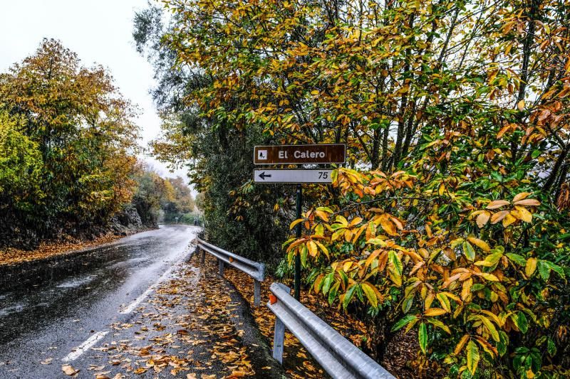 Día de lluvia en Gran Canaria (27/11/21)