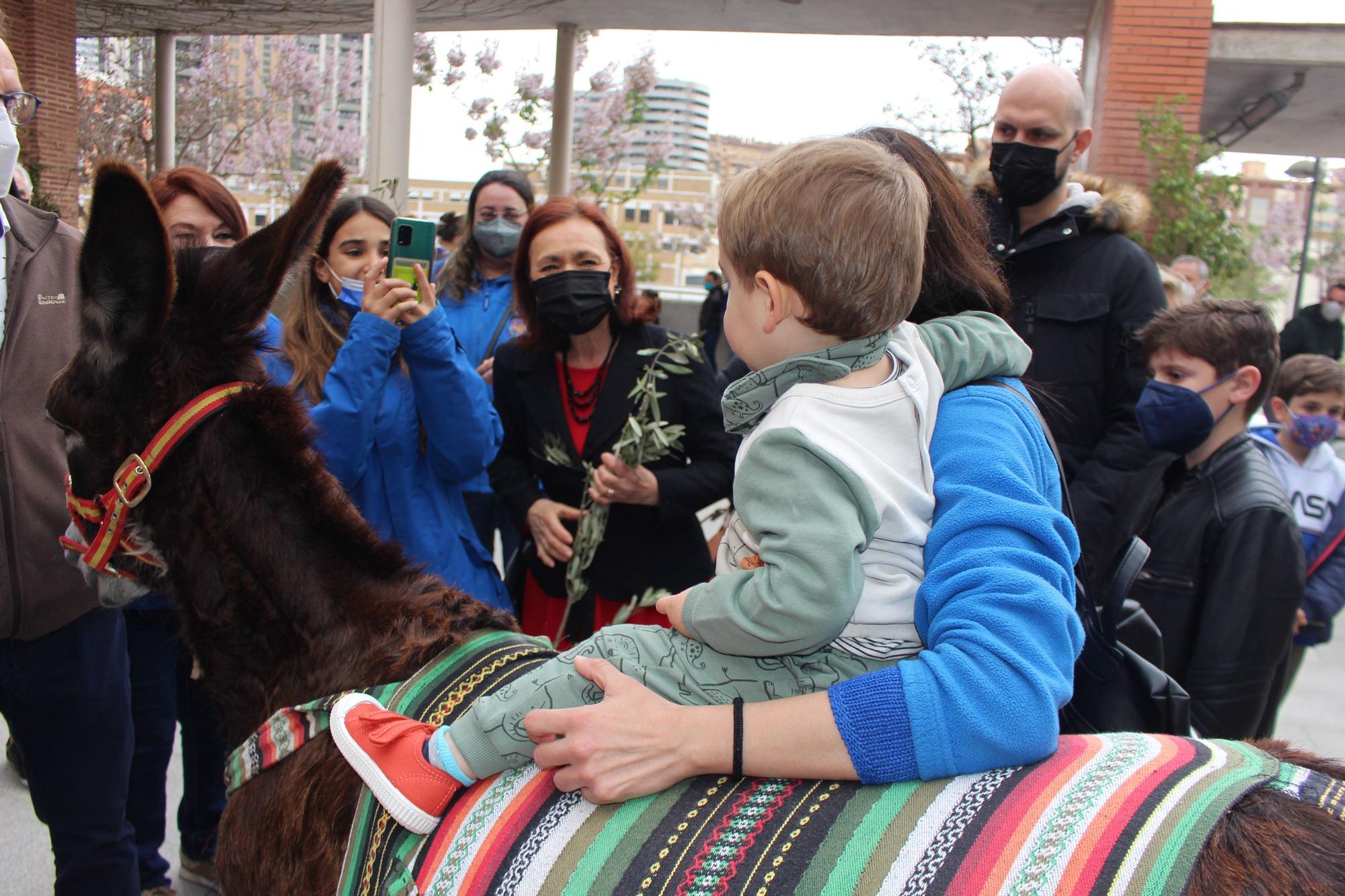 Domingo de Ramos en Beniferri con la burrita "Matilde"