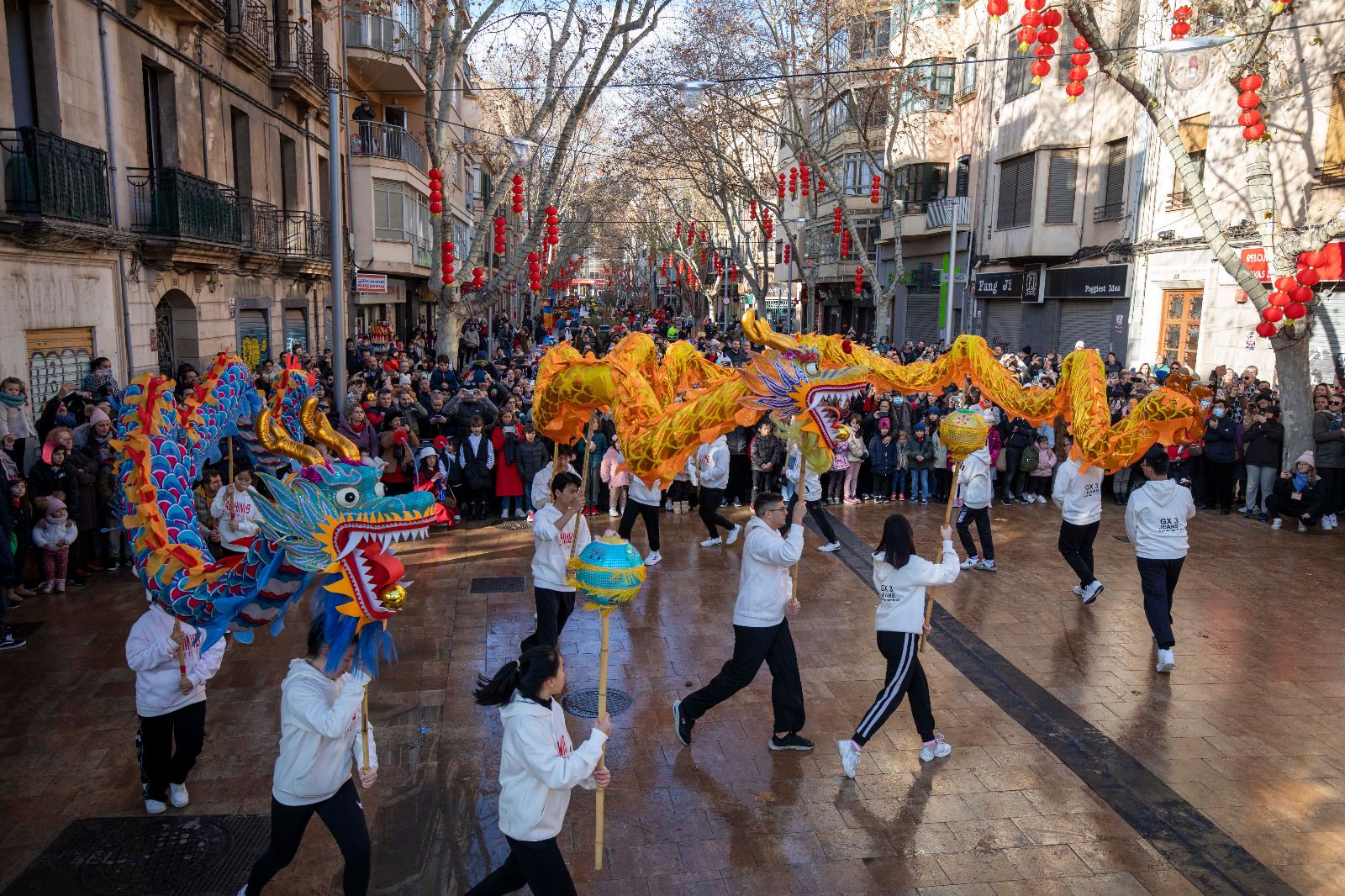 Palma celebra el Año Nuevo Chino