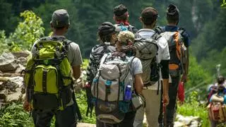 La ruta por el bosque perfecta para desconectar este fin de semana en la provincia de Alicante