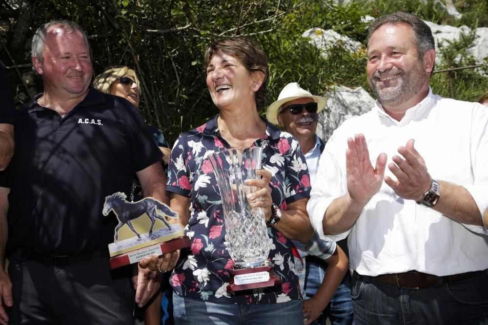 Fiesta del Asturcón en el Sueve