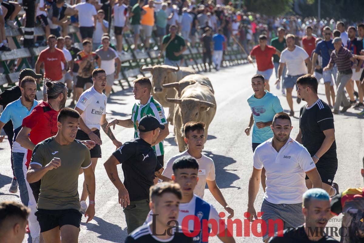 Quinto encierro de la Feria del Arroz de Calasparra