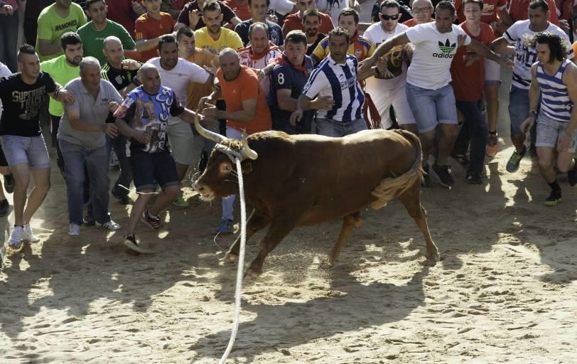 La carrera del Toro Enmaromado 2017 Razonador