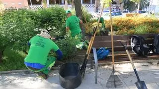 El impago municipal que deja al límite a quienes sostienen la inclusión laboral en Alicante