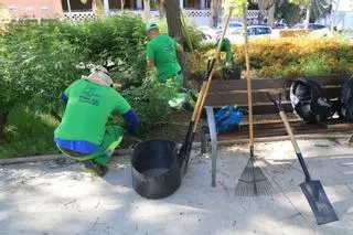 El trabajo que hace Anilia, asociación de inserción laboral para personas con discapacidad intelectual a la que el Ayuntamiento de Alicante le debe 160.000 euros