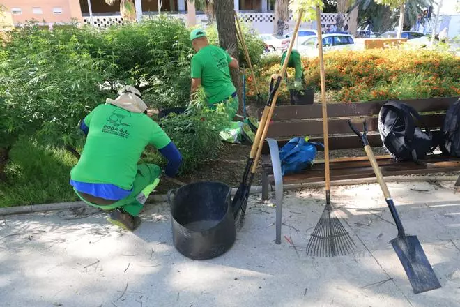 El trabajo que hace Anilia, asociación de inserción laboral para personas con discapacidad intelectual a la que el Ayuntamiento de Alicante le debe 160.000 euros