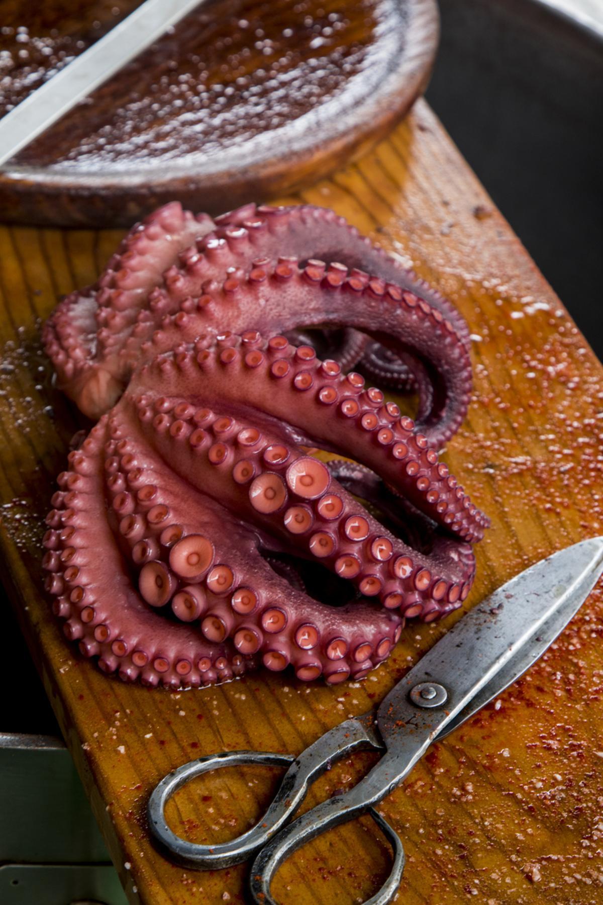 Una fiesta del pulpo que no te puedes perder.
