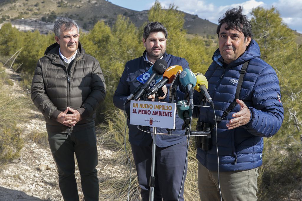 Las imágenes de la llegada de tres ejemplares de lince ibérico a las montañas de Lorca