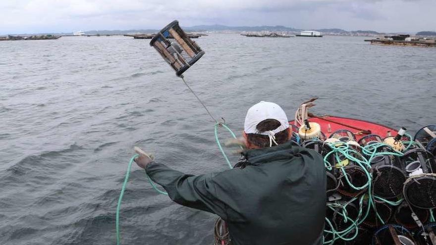 Un marinero lanza nasas de nécora al mar en una jornada de faena.