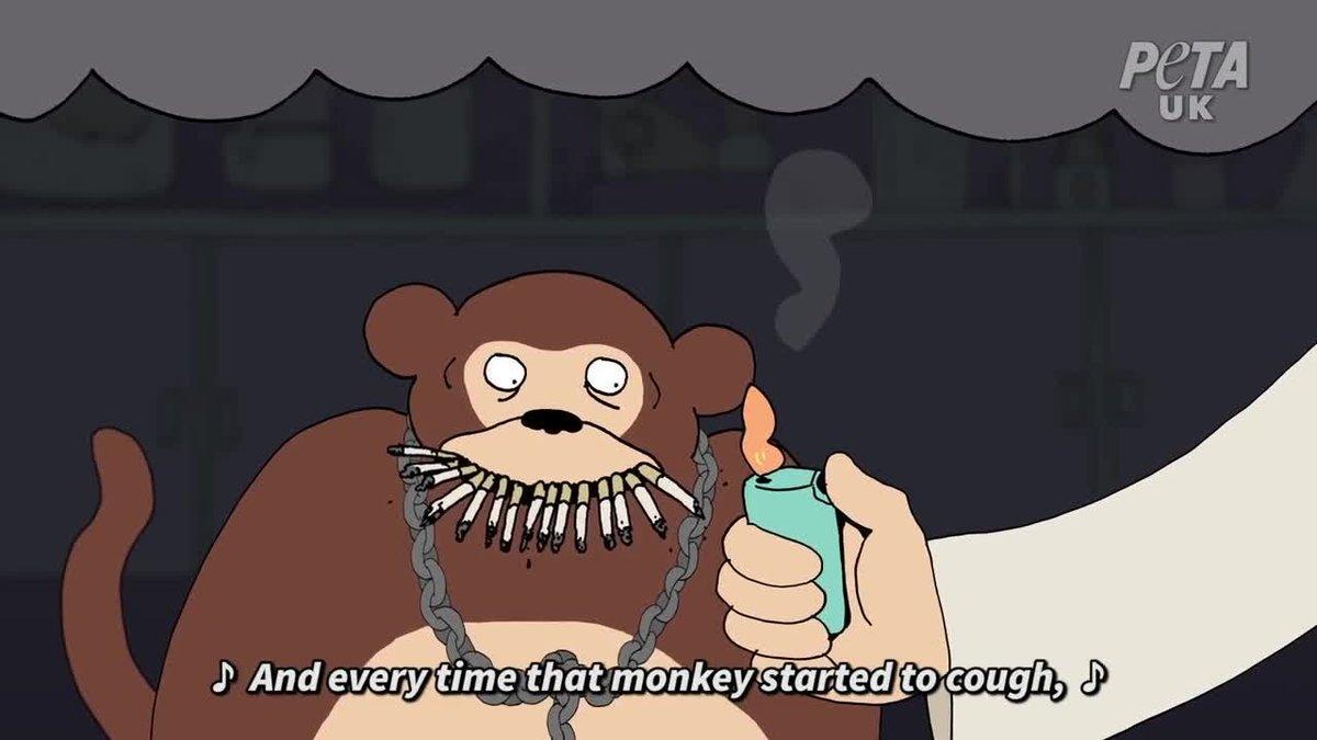 video promocional de peta con paul mc cartney contra experimentos con animales