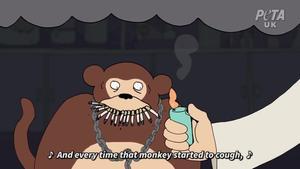 video promocional de peta con paul mc cartney contra experimentos con animales