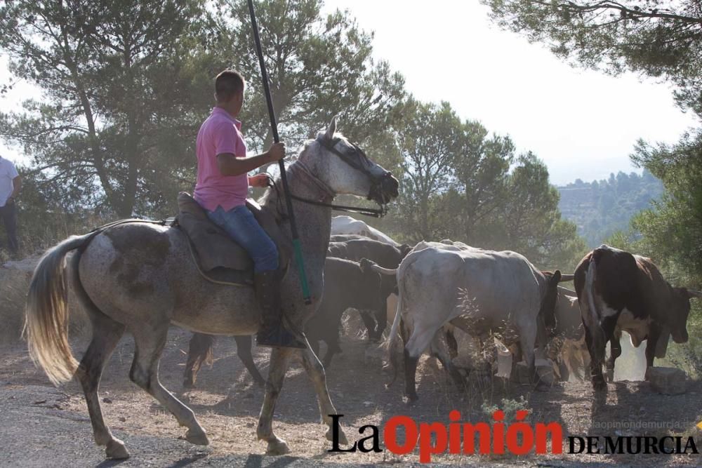 Vereda en Moratalla