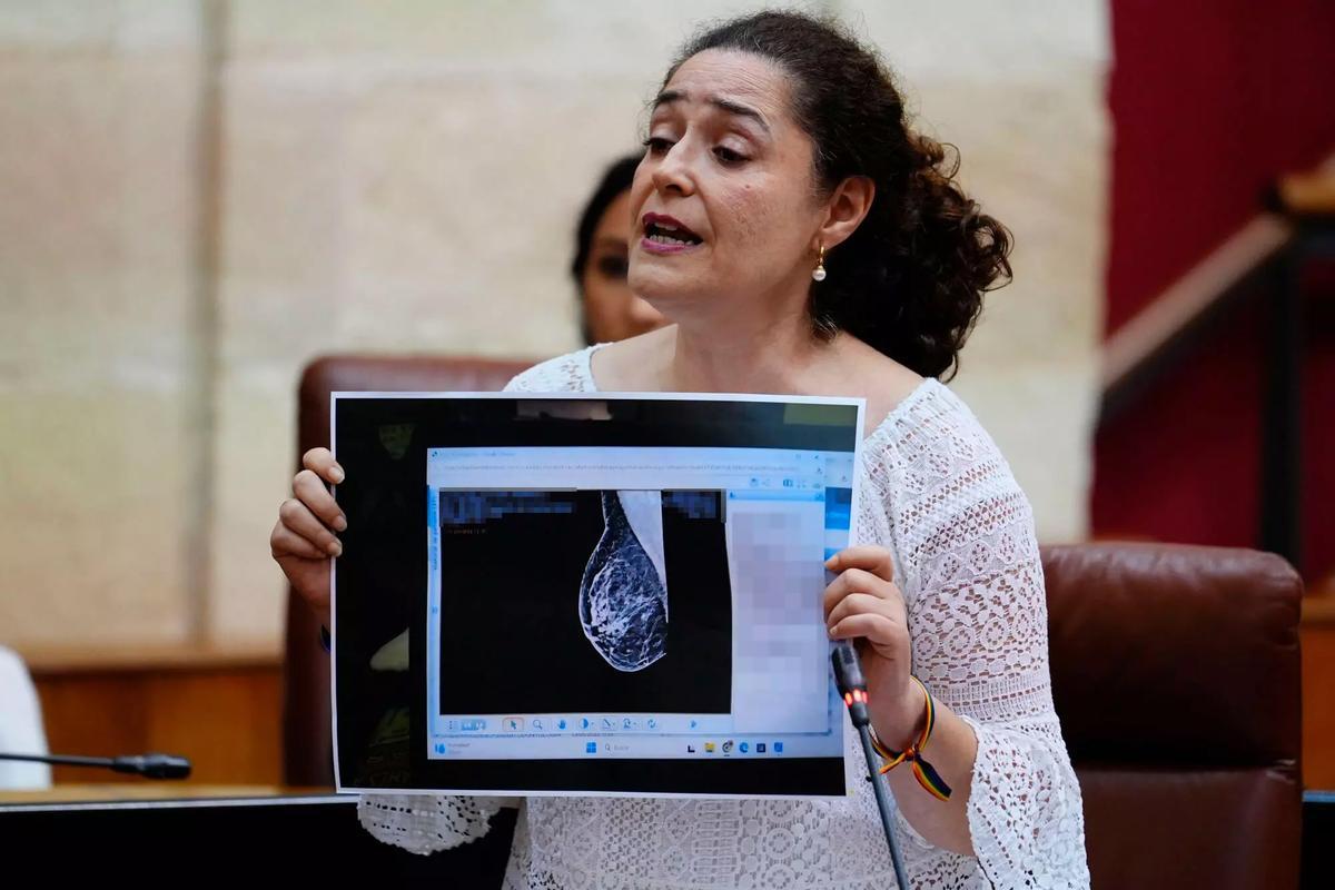 La portavoz del Grupo Por Andalucía, Inmaculada Nieto, interviene durante la sesión de control en el pleno del Parlamento andaluz