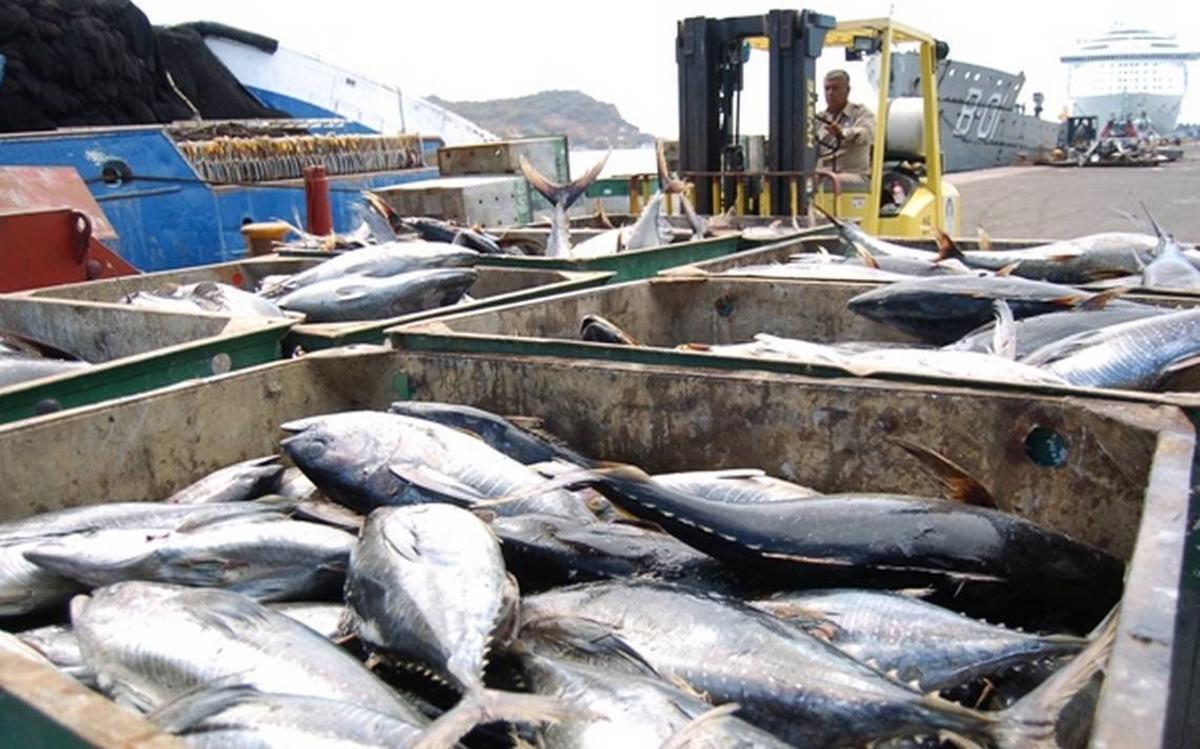 El atún es uno de los pescados más consumidos