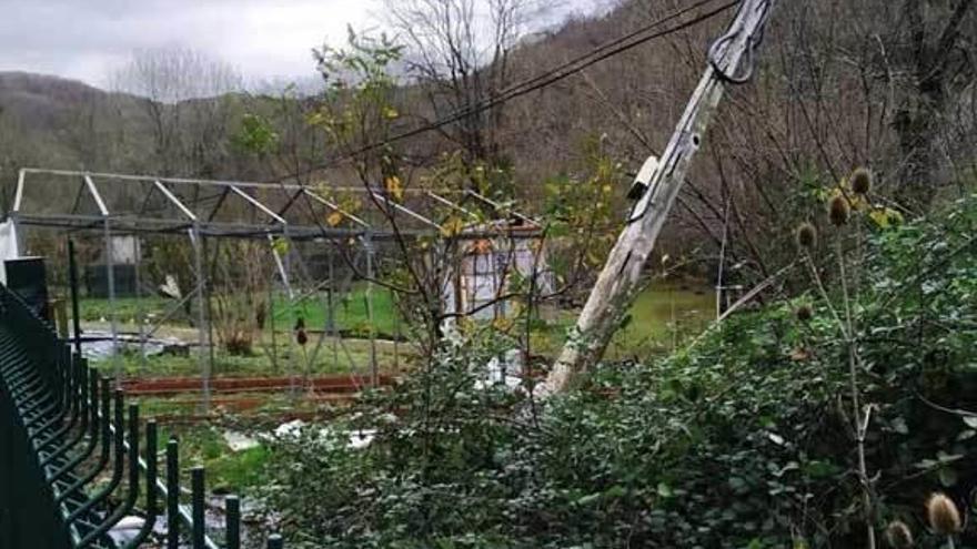 El tendido telefónico amenaza con caer en Tiraña (Laviana)