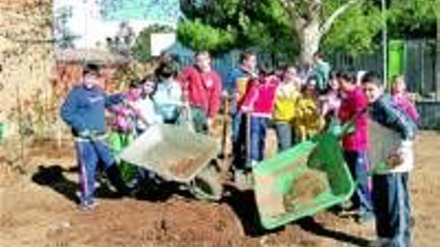 Escolares plantan 100 árboles y arbustos