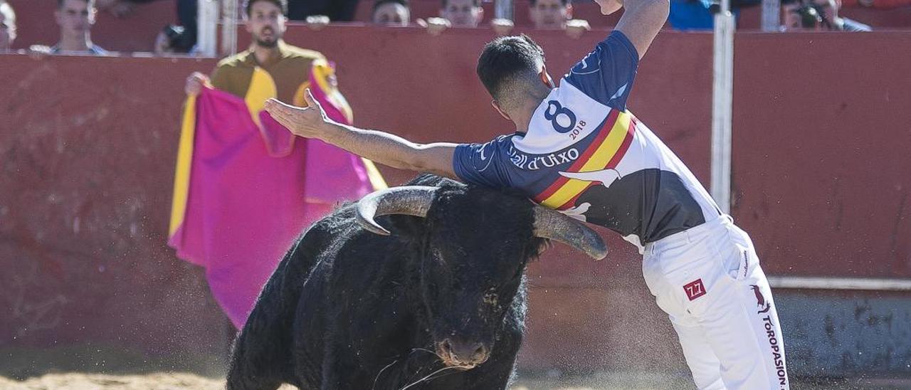 Dimite el número dos de las peñas taurinas