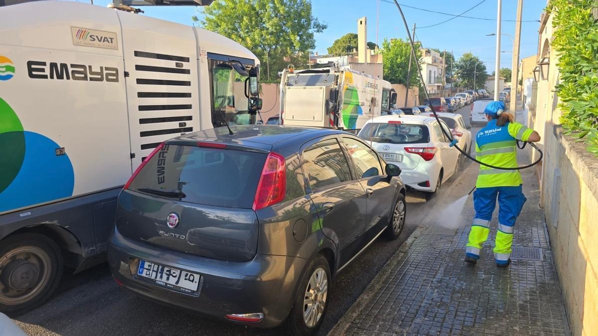 Los dispositivos de  Palma a Punt  han movilizado a una plantilla de 47 trabajadores.