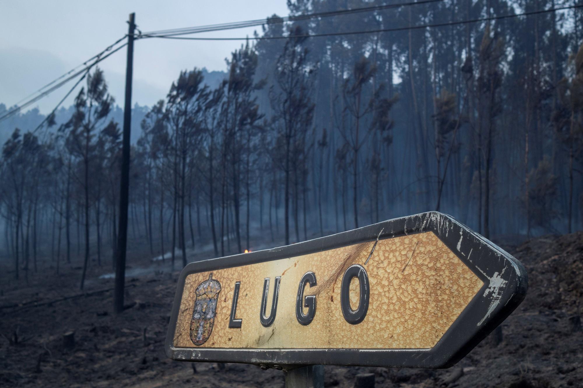 El fuego arrasa más de mil hectáreas en Ribas de Sil