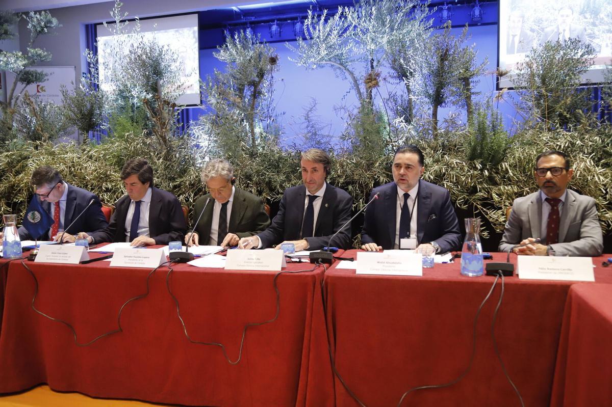 A.J.González&amp;amp;#xD;Córdoba&amp;amp;#xD;Sesión plenaria del Consejo Oleícola Internacional El Consejo Oleícola Internacional COI