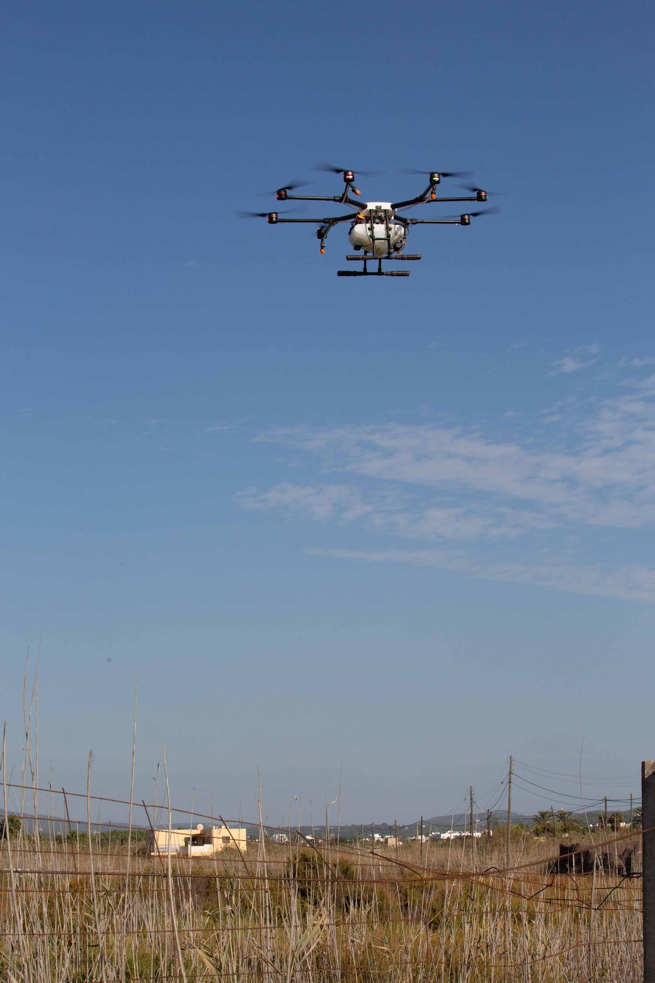 Drones contra los mosquitos de Ibiza