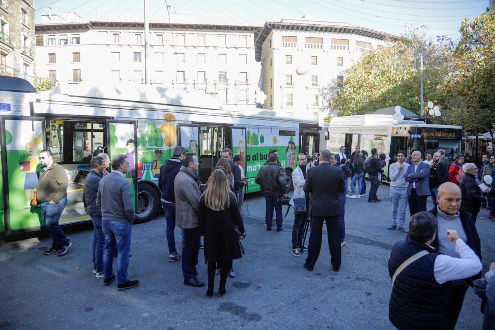 Los nuevos autobuses de la EMT de Palma se pueden ver en la plaza Joan Carles I