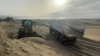 Maspalomas suma ya 249 toneladas de arena de las dunas trasladadas desde el paseo a la orilla de Playa del Inglés