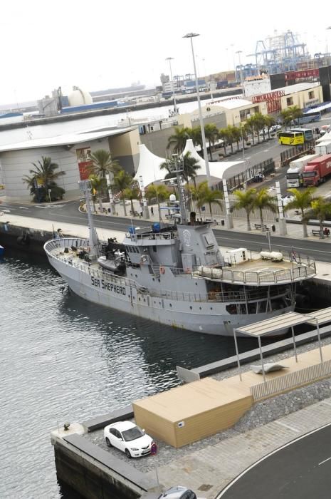 BARCOS TURISMO MUELLE SANTA CATALINA